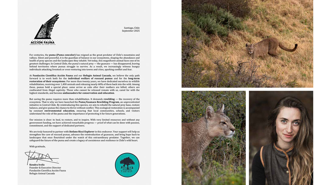 Agreement with Fundacion Accion Fauna 