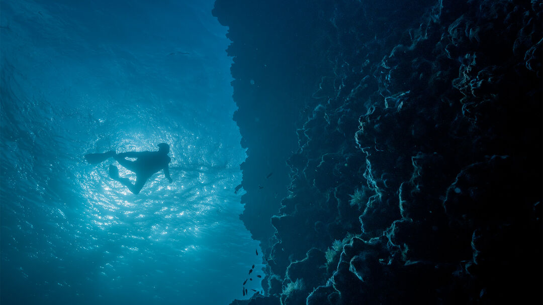Diving in the Gal&aacute;pagos Islands is strictly regulated by the Gal&aacute;pagos National Park Directorate. This is the correct way to protect the sea and all biodiversity. In this photo is a Stefano Ricci model exploring the deep blue in Isla Guy Fawkes Sur.