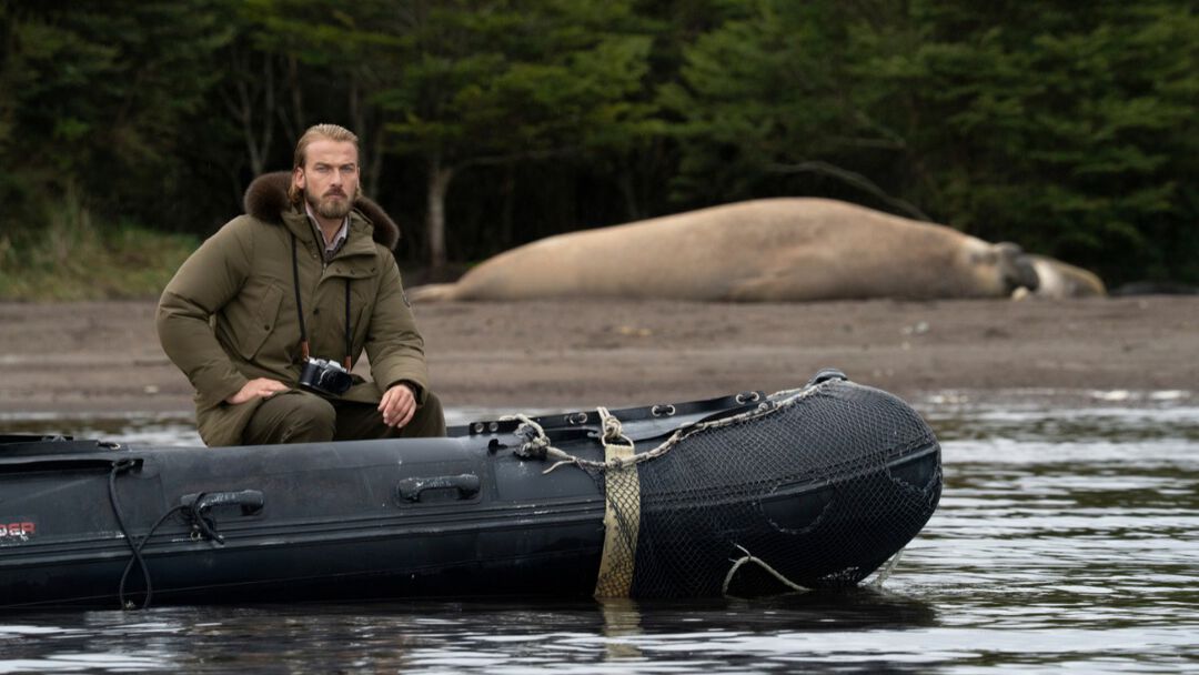 The man observing the elephant seal in Bernal Glacier