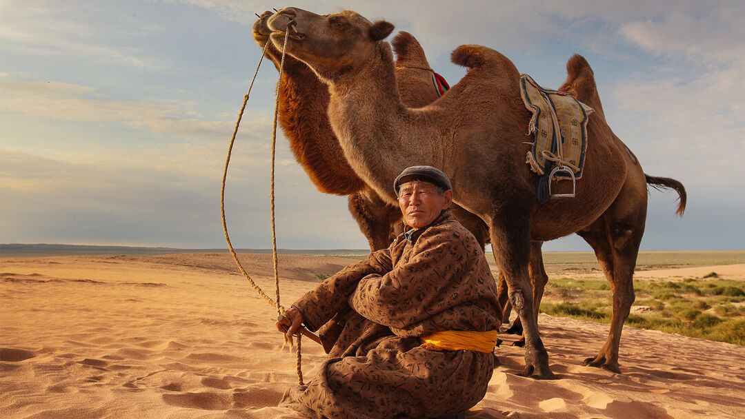 Each country's customs are different, just as each meadow's grass is different. Mongolian proverb