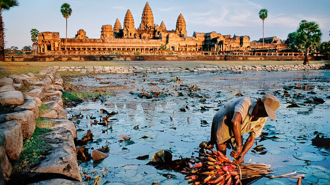 Lotus Gatherer. Angkor, Cambodia, 1997