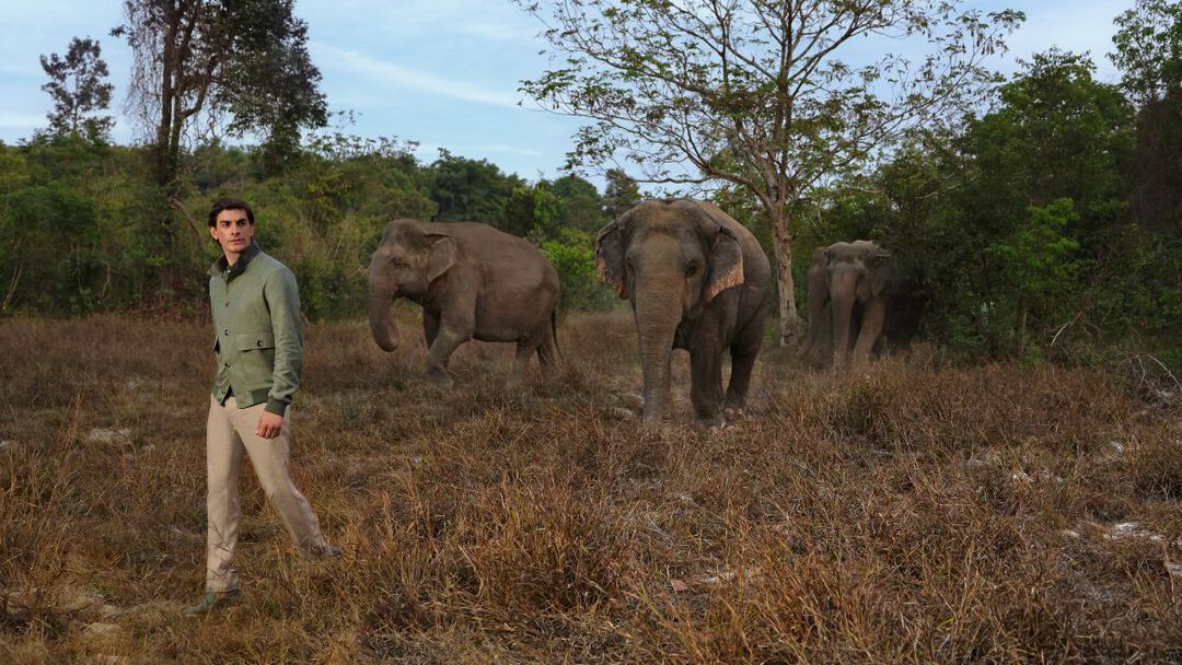 the model with Cambodian elephants