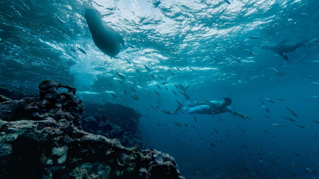 Las Islas Encantadas