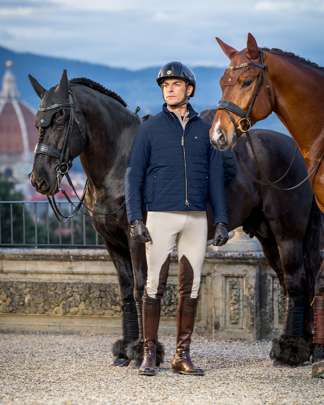 equestrian line horses