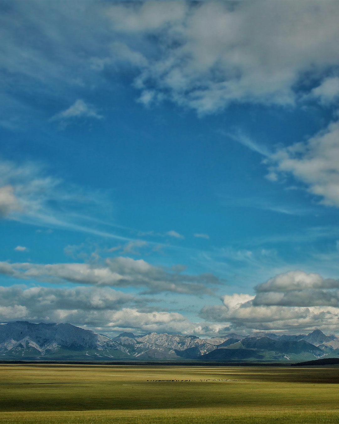 Mongolia is often referred to as the &ldquo;Land of the Blue Sky&rdquo; due to its spectacular natural illumination, where boundless horizons and majestic landscapes dwarf the presence of nomadic horsemen and camel caravans, breathing life into the land.