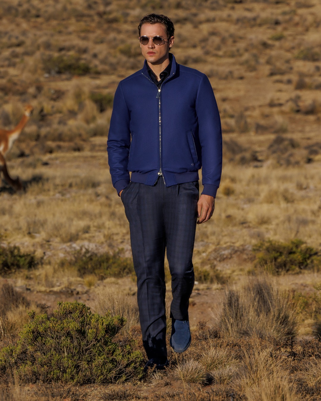 The model at Reserva National Salinas y Aguada Blanca