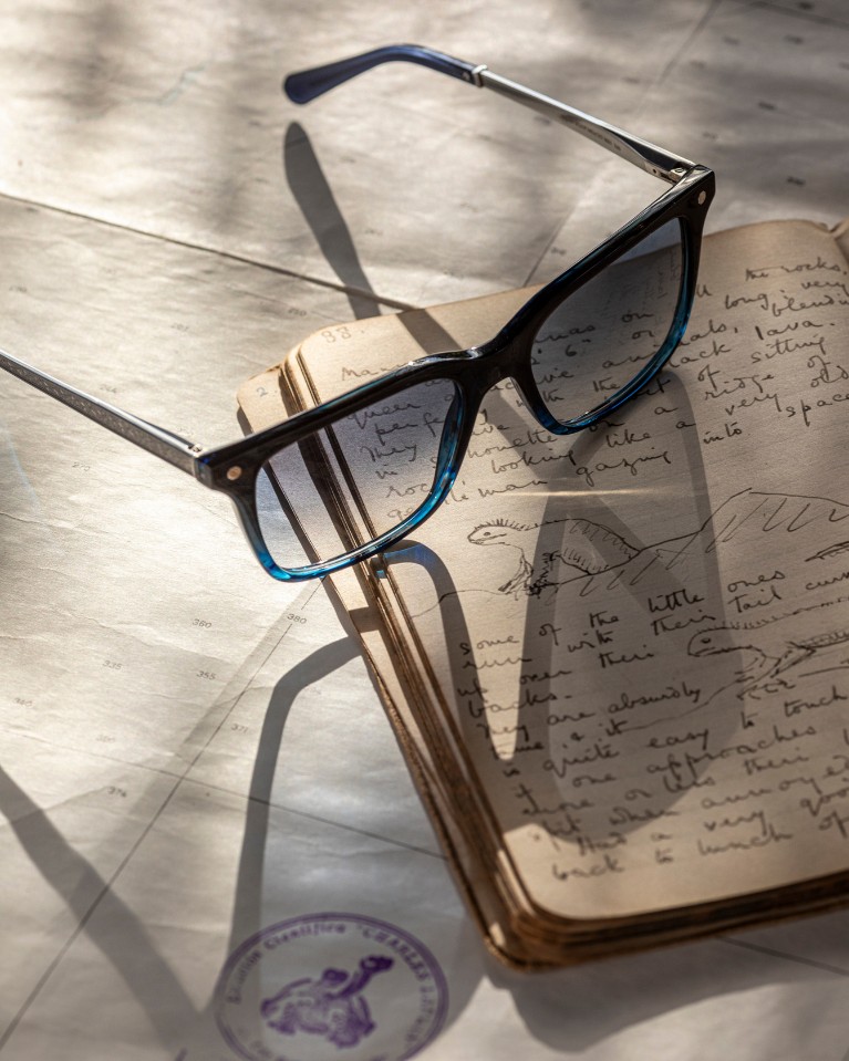 The Evolution of Exploration