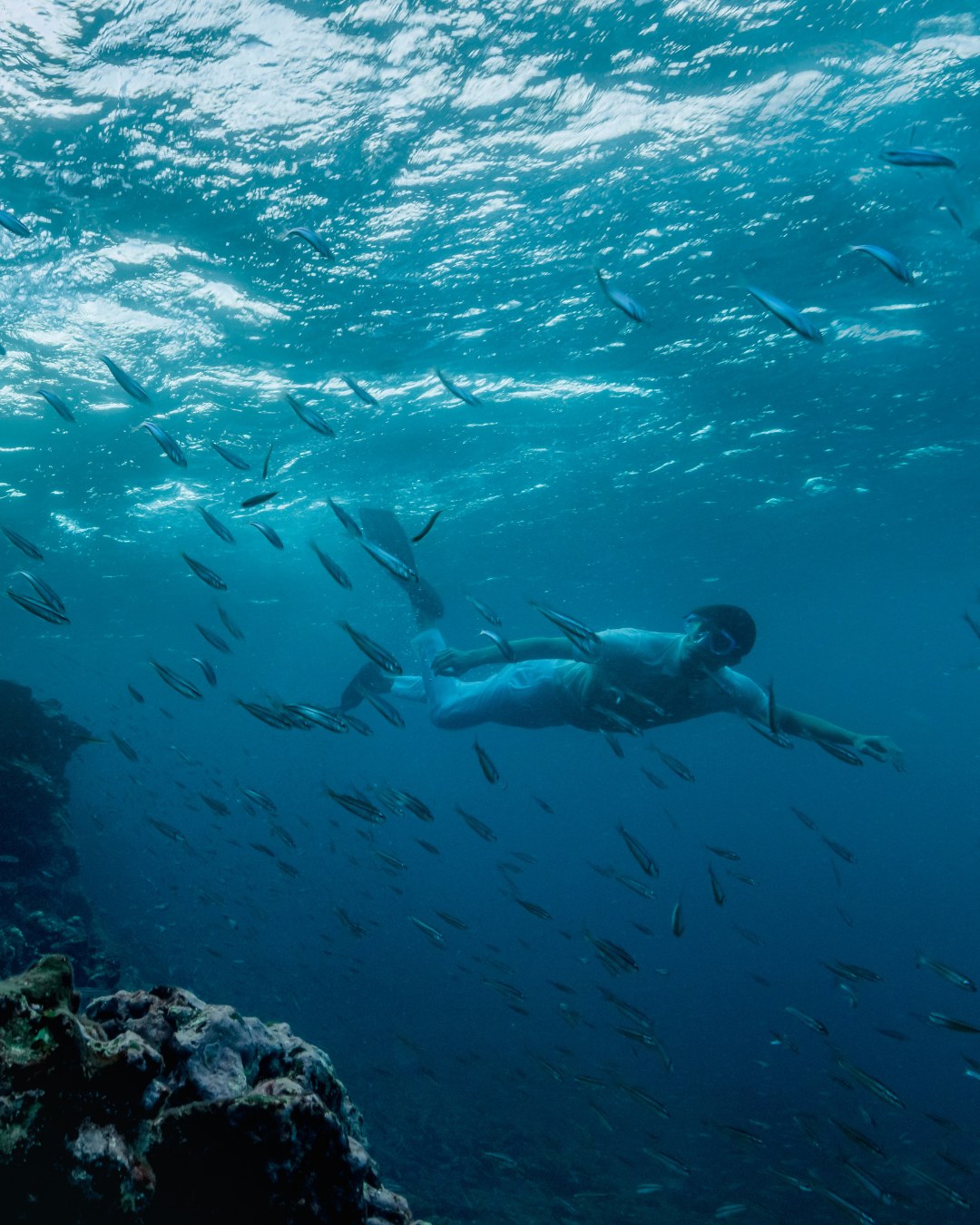 model swimming in Galapagos