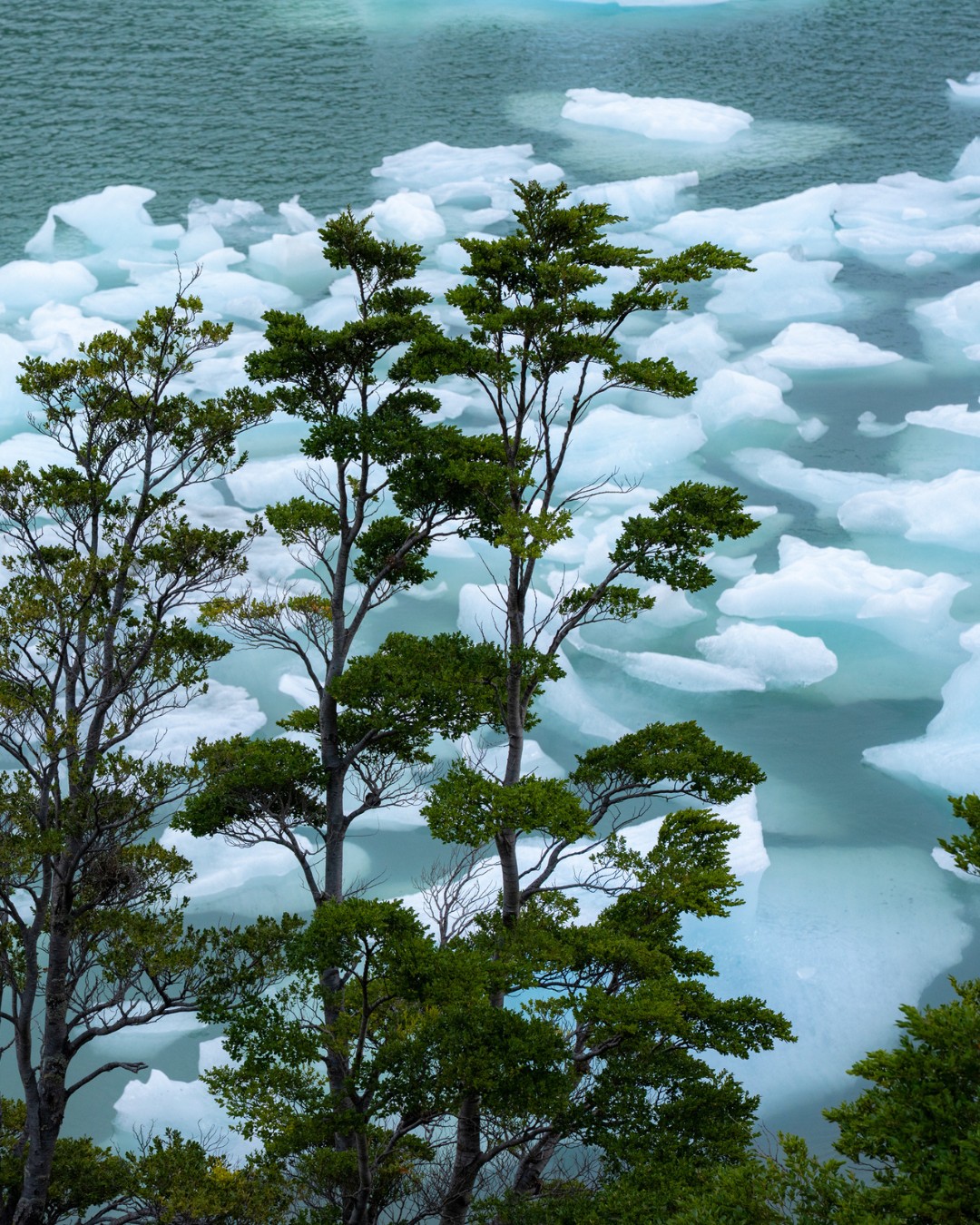 Serrano Glacier