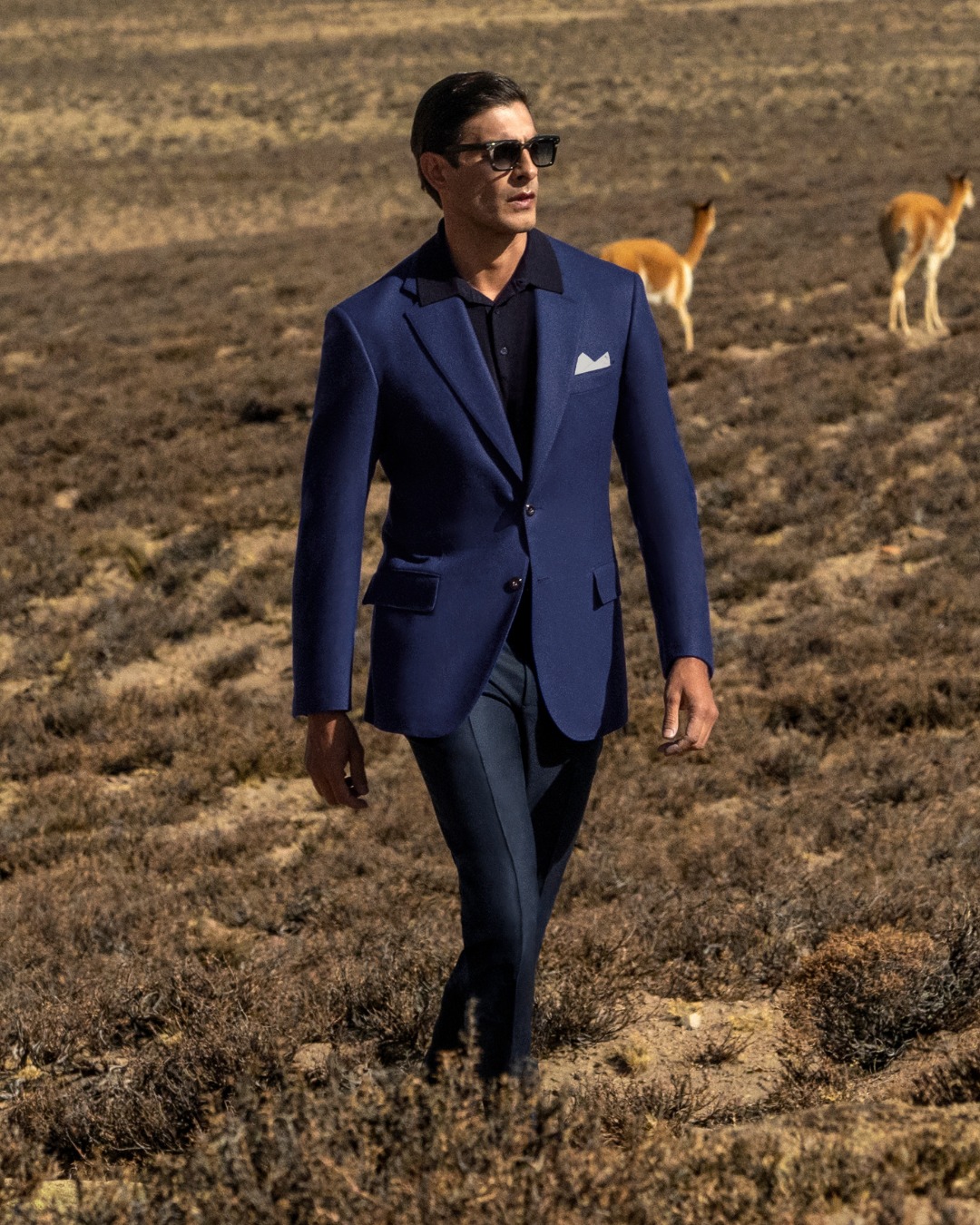 The model at Reserva National Salinas y Aguada Blanca