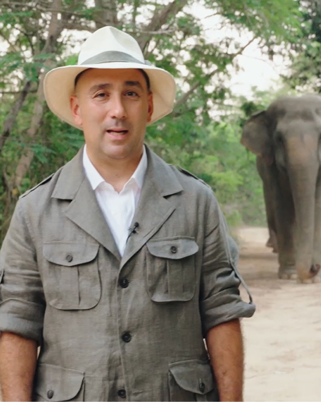 Cover video of The raw majesty and subtle grace of elephants