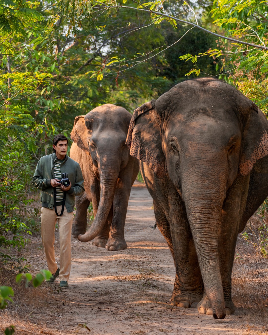 Kulen Elephant Forest