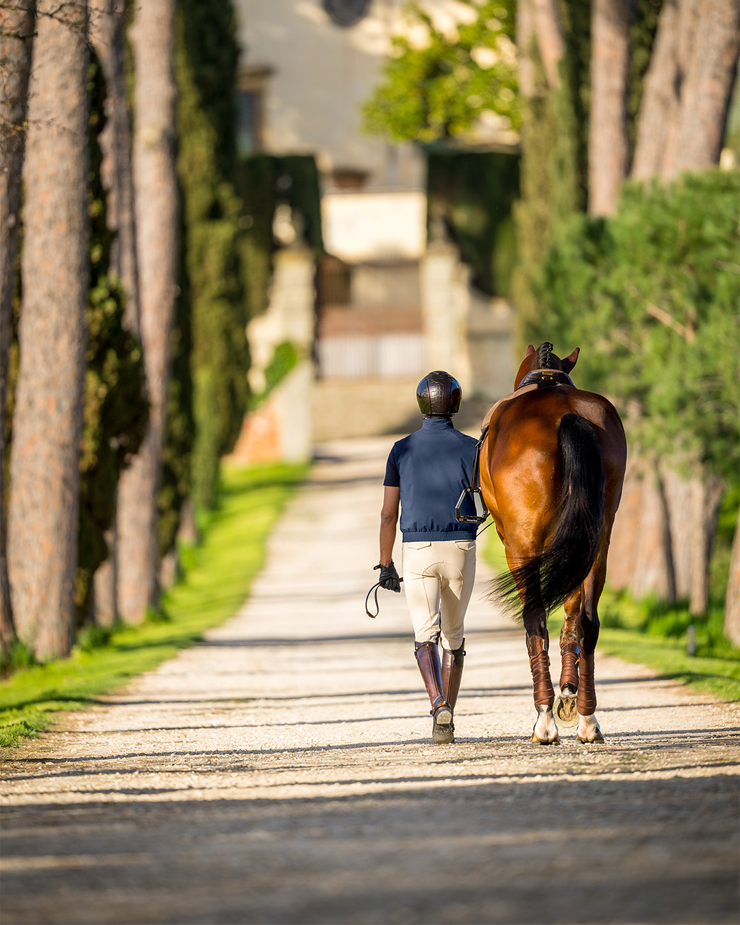 equestrian line countryside