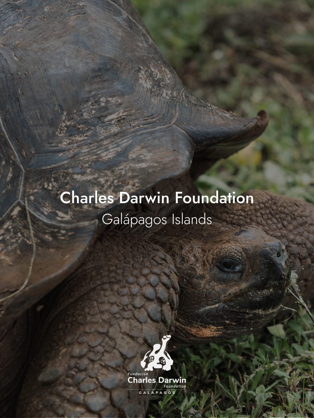 Charles Darwin Foundation