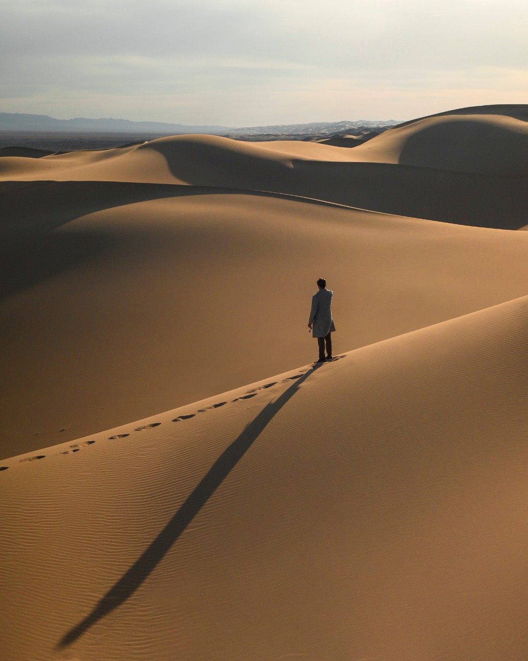 Khongor Sand Dune Gobi Desert