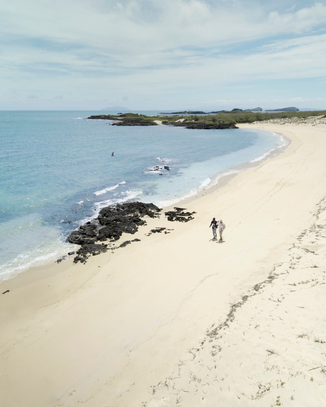 Bah&iacute;a Bowditch