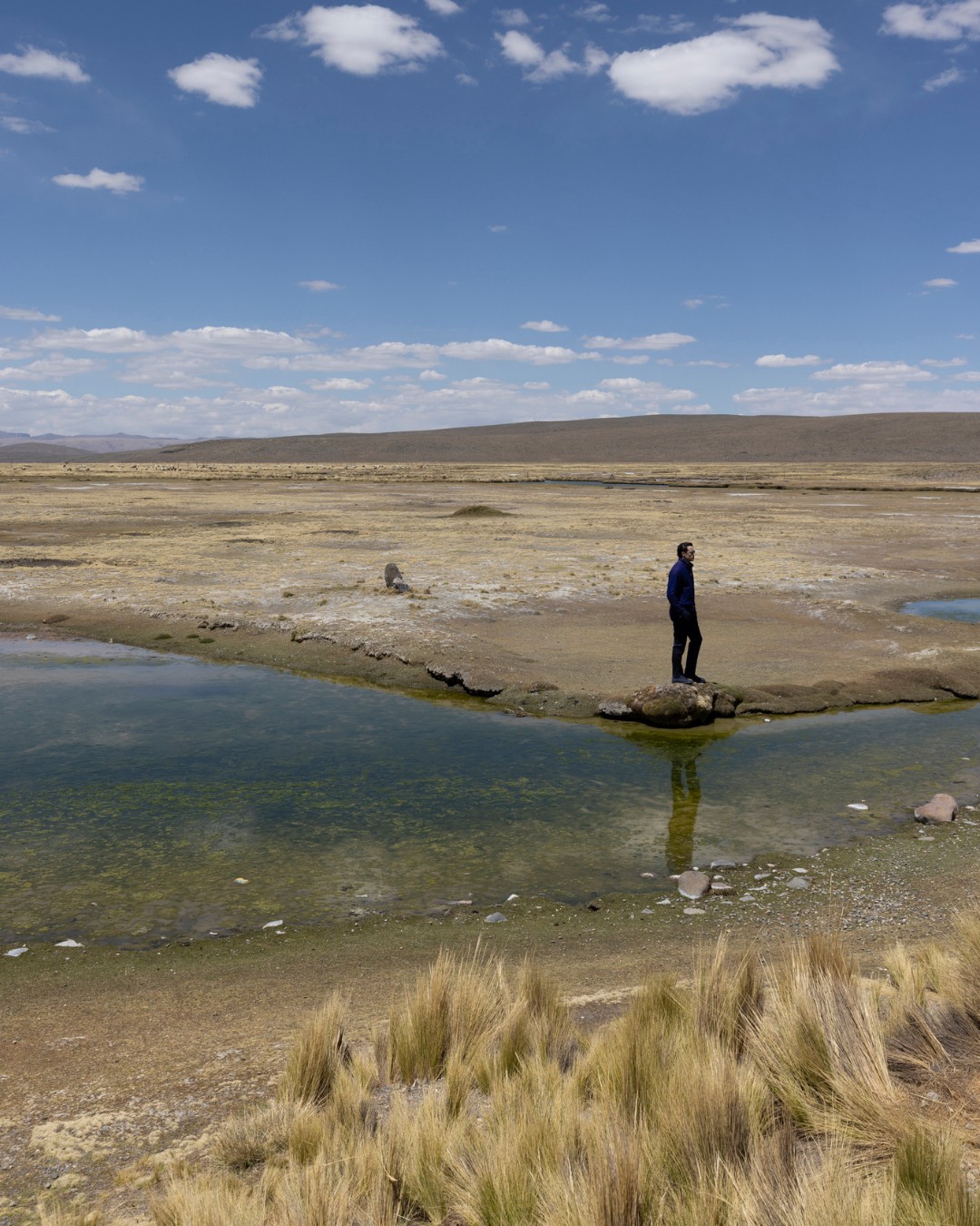 Riserva National Salinas y Aguada Blanca