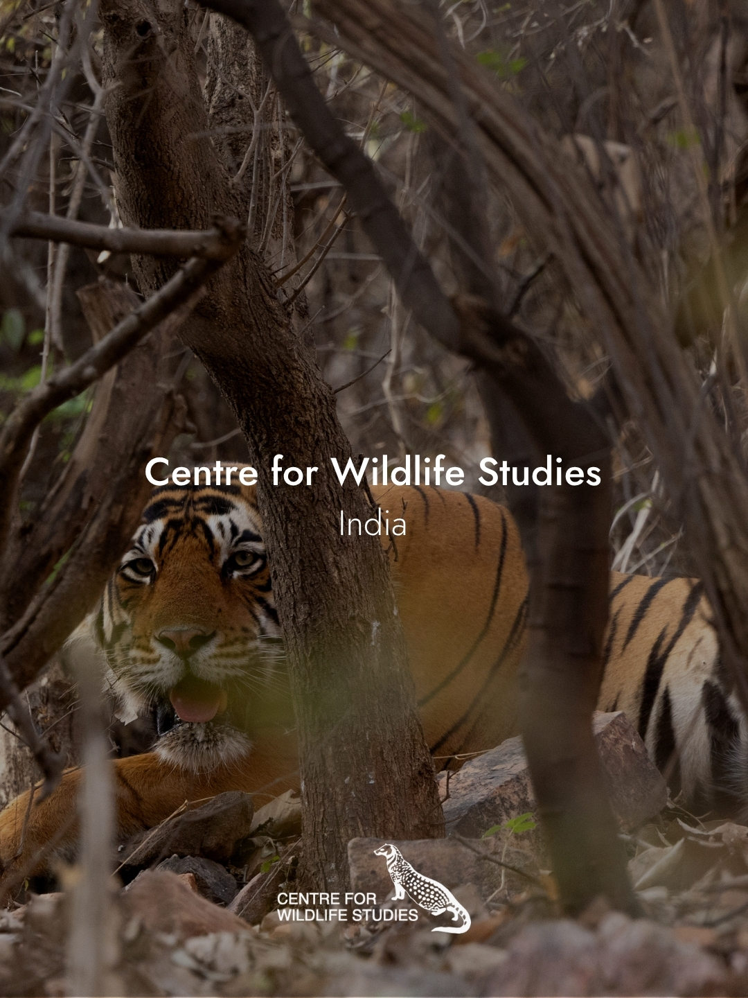 Centre for Wildlife Studies