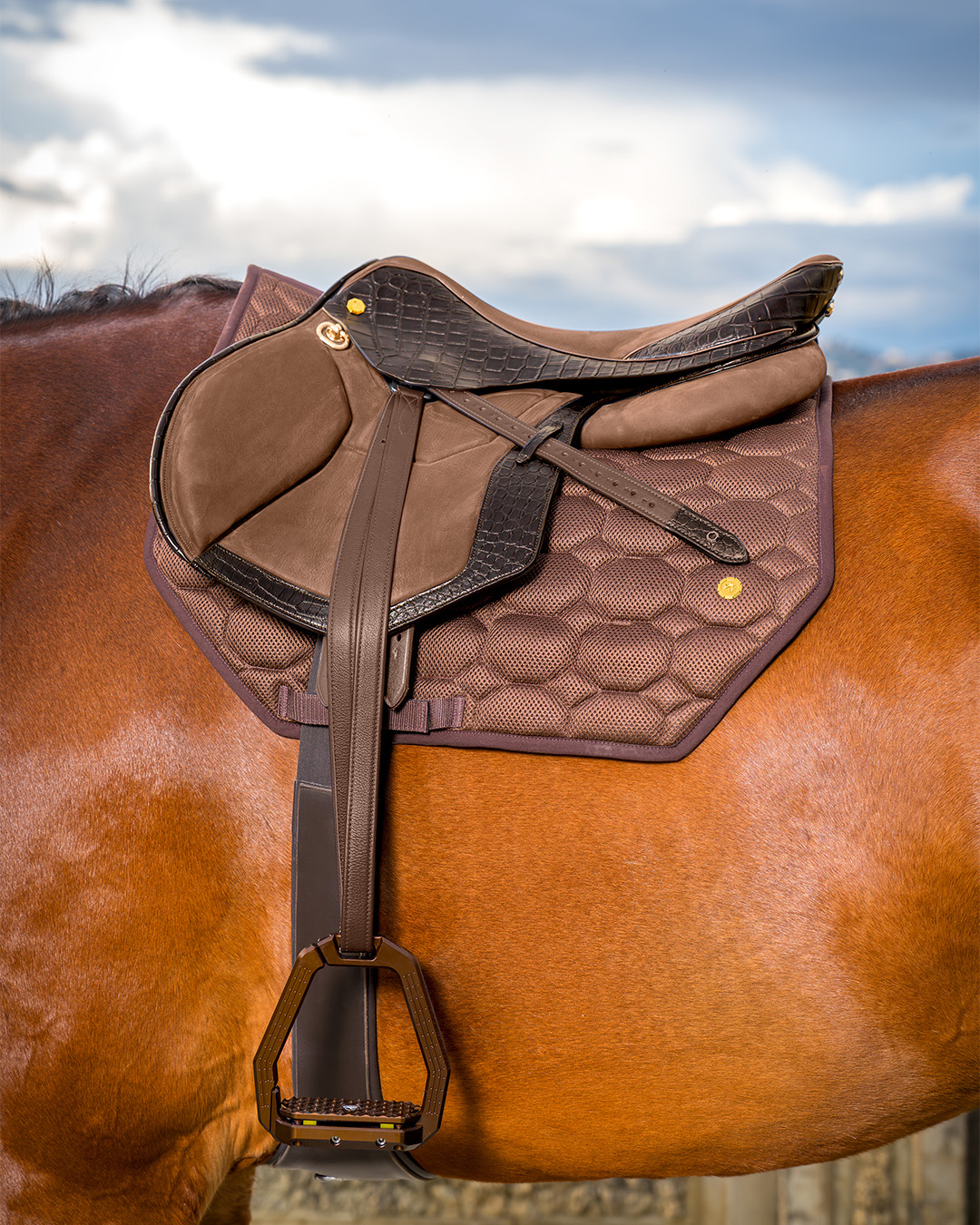 equestrian line saddle