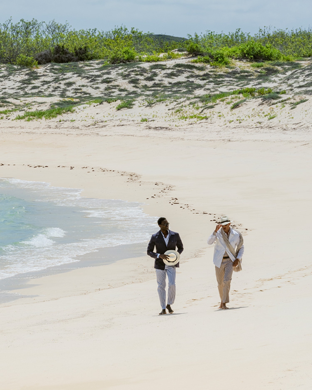 Cover video of The incredible landscape of Punta Bowditch