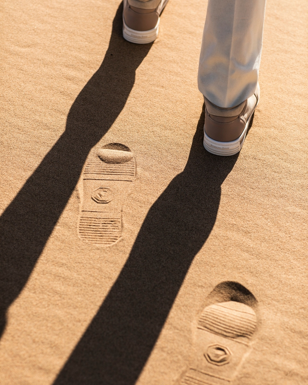 The model in Khongor Sand Dune Gobi Desert