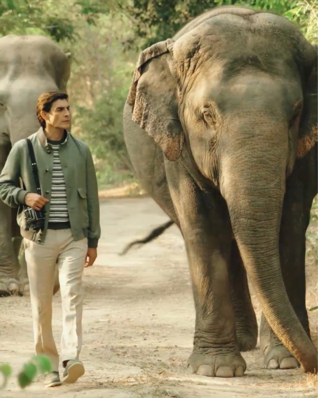 Cover video of Supporting Wild Earth Allies for the protection of elephants