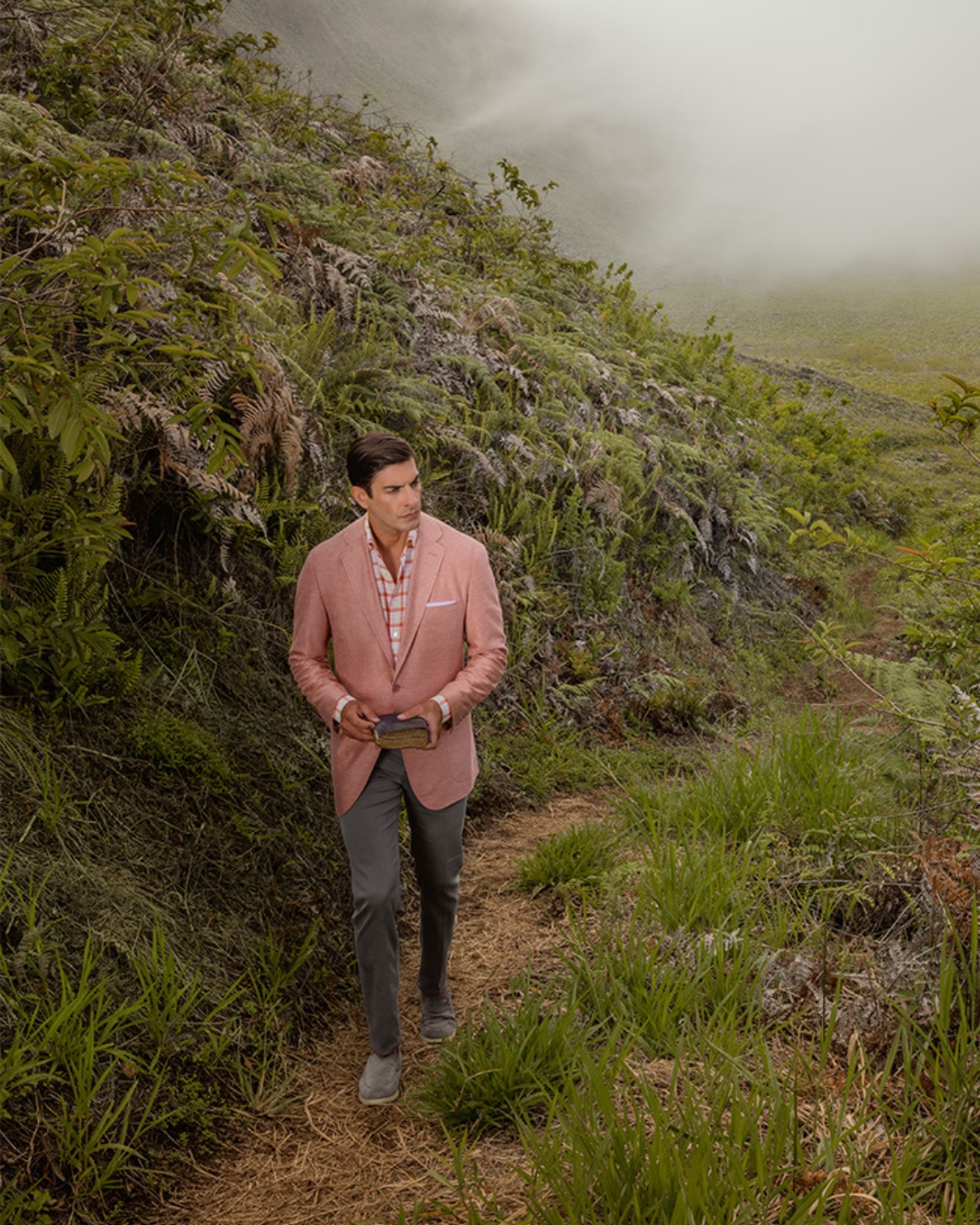 Cover video of Inside the rim of the caldera of Sierra Negra Volcano