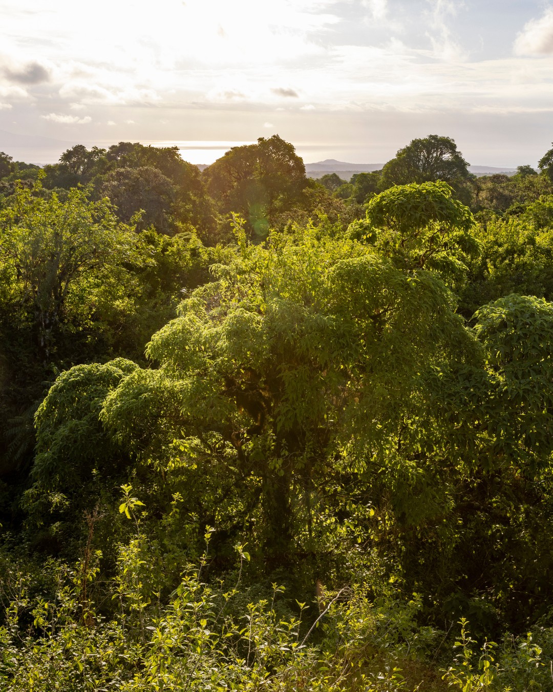 Galapagos Safari Camp