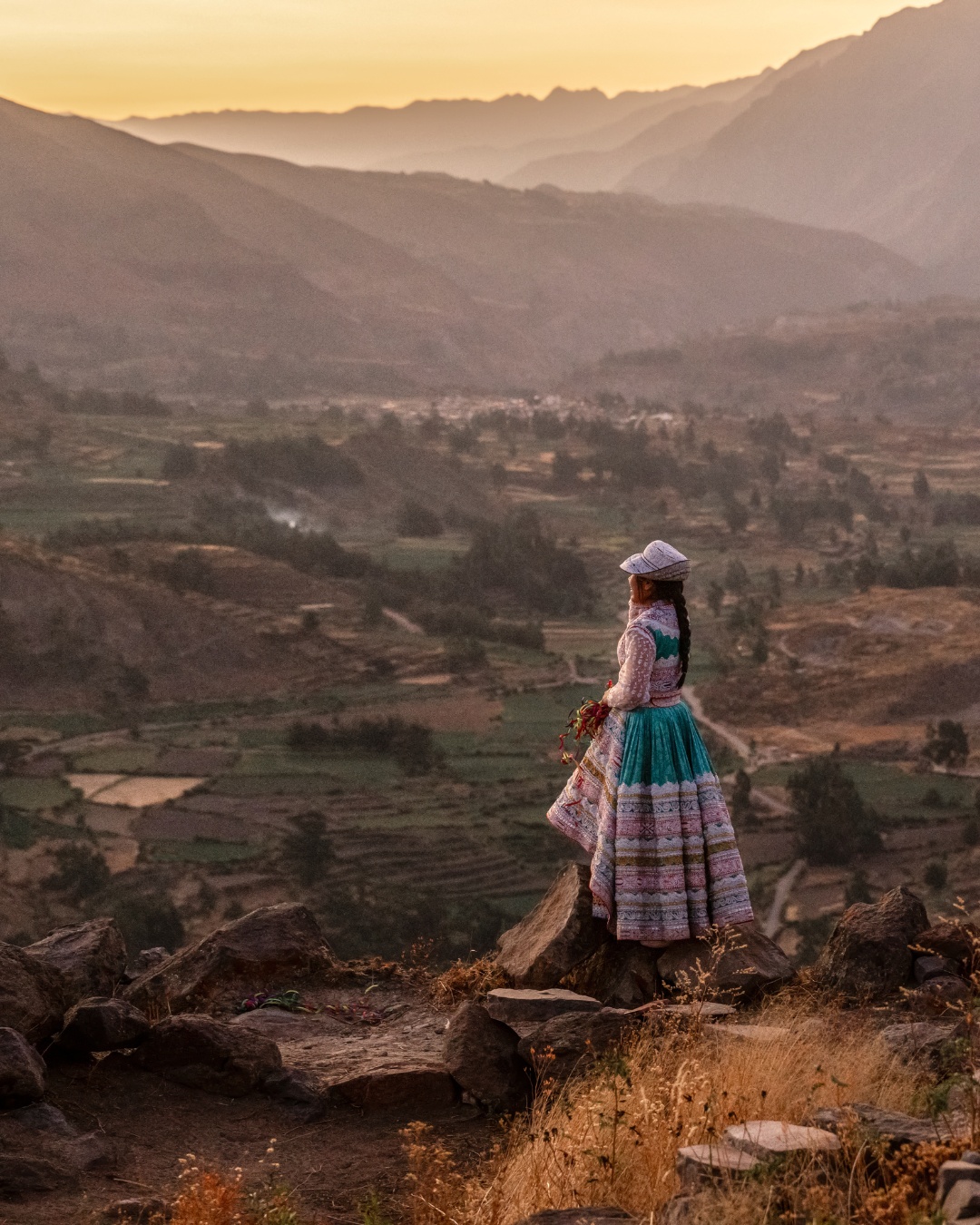 Celebrating wildlife to protect our future