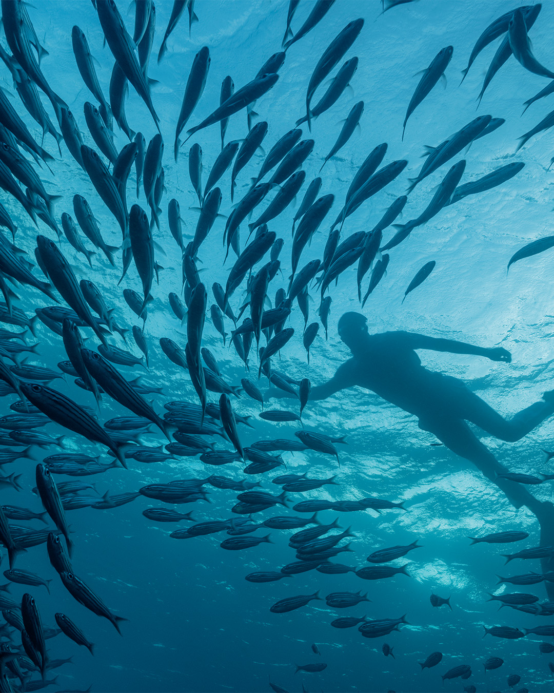 Las Islas Encantados